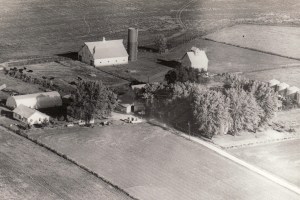 Luehrman Farm