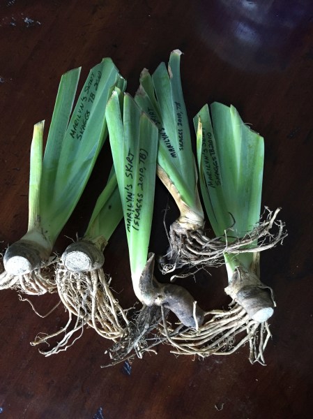 Image 9-19-15 at 5.45 PM