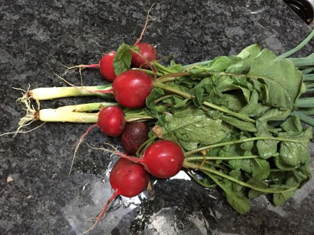 Image 9-20-15 at 3.39 PM