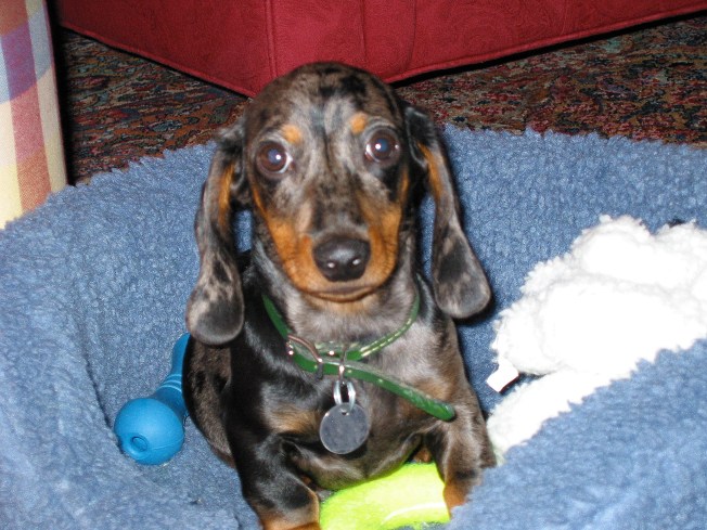 upclose and personal farley