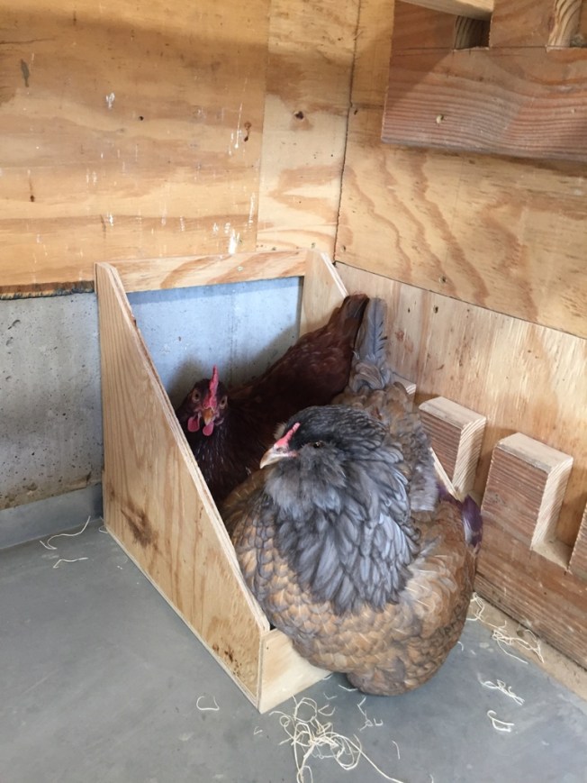 UNADJUSTEDNONRAW_thumb_17e4e