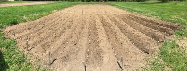 UNADJUSTEDNONRAW_thumb_1811e