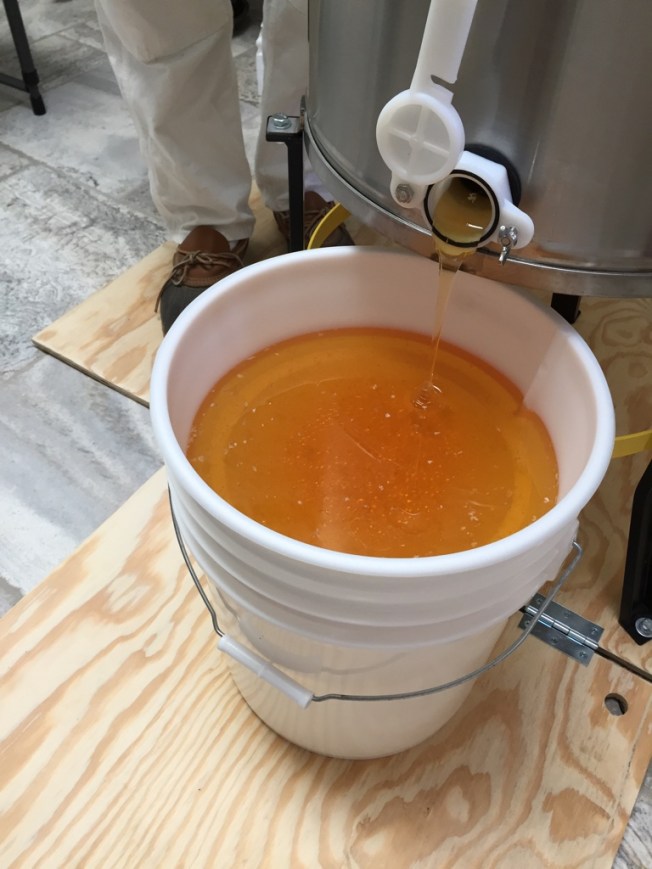 UNADJUSTEDNONRAW_thumb_188e9