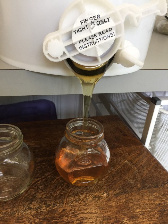 UNADJUSTEDNONRAW_thumb_18937