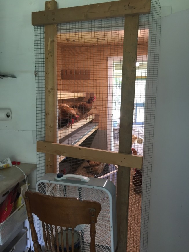 UNADJUSTEDNONRAW_thumb_18946