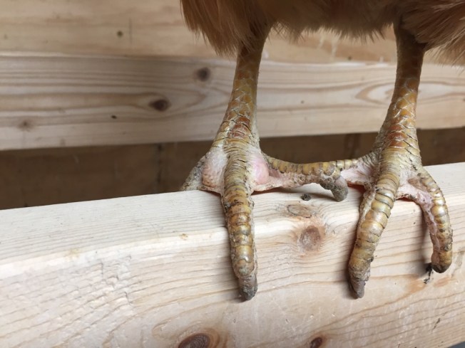 UNADJUSTEDNONRAW_thumb_18974