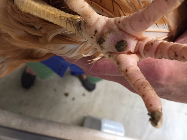 UNADJUSTEDNONRAW_thumb_18981