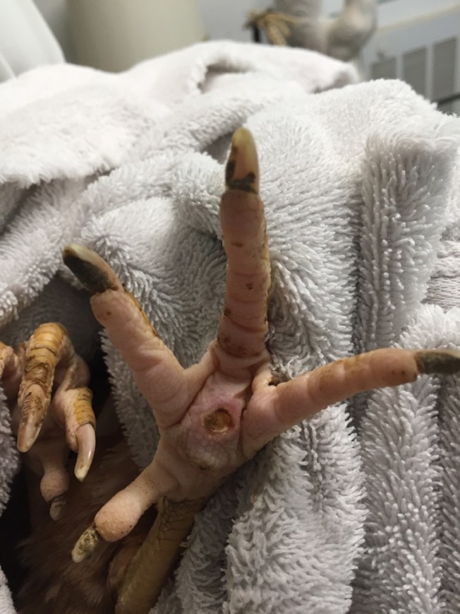 UNADJUSTEDNONRAW_thumb_18993