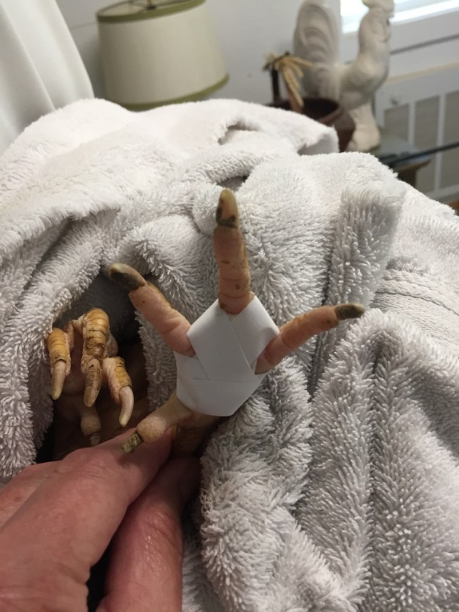 UNADJUSTEDNONRAW_thumb_18994