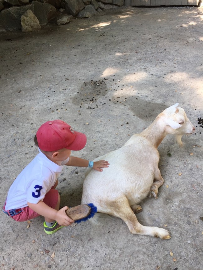 UNADJUSTEDNONRAW_thumb_189ae