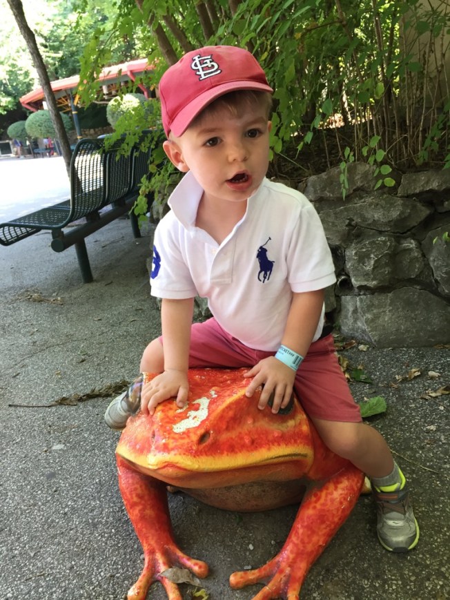 UNADJUSTEDNONRAW_thumb_189b8